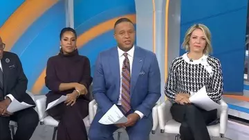 Derek Lam 10 Crosby Sawyer Long Sleeve Crewneck Sweater worn by Dylan Dreyer as seen in Today on November 19, 2025