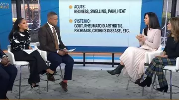 Alice + Olivia Essie Falda midi plisada Georgette usada por Natalie Azar vista en Today the 25 November 2025