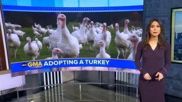 Vestido polo de manga larga con ribetes en contraste con capa marina llevado por Sophie tal como se ve en Good Morning America el 26 de noviembre de 2025