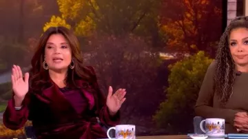 L'Agence Marie Velvet Double-Breasted Blazer worn by Ana Navarro as seen in The View on November 25, 2025