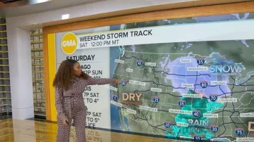 Diane von Furstenberg Michelle Jumpsuit worn by Somara Theodore as seen in Good Morning America on November 28, 2025