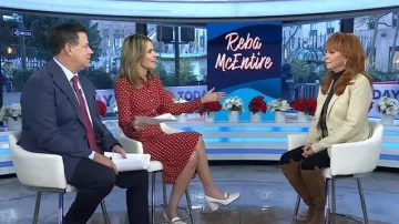 Jimmy Choo Diamond Tilda 85mm Leather Pumps worn by Savannah Guthrie as seen in Today on December 1, 2025