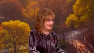 Eileen Fisher Bubble Sleeve Velvet Top worn by Joy Behar as seen in The View on December 2, 2025