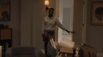 Museum of Peace & Quiet Arch Pigment Dyed Half Zip Graphic Sweatshirt worn by Carlton Banks (Olly Sholotan) as seen in Bel-Air (S04E08)