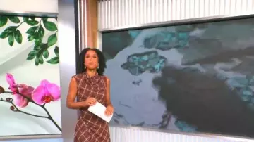Simkhai Burke Dress worn by Adriana Diaz as seen in CBS Mornings on November 27, 2025