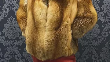 Veste en fourrure marron portée par (Daniel Ings) dans The Gentlemen