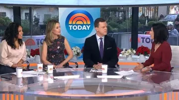 Steve Madden Kadelin Stripe Long Sleeve Sweater Dress worn by Vicky Nguyen as seen in Today on  December 17, 2025