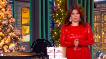 Diane von Furstenberg Bianca Sequin Skirt worn by Ana Navarro as seen in The View on December 19, 2025