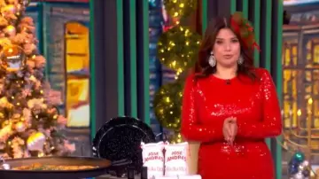 Diane von Furstenberg Bianca Sequin Skirt worn by Ana Navarro as seen in The View on December 19, 2025