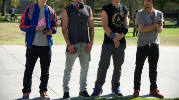 Sneakers Vans chequered in We Are Your Friends