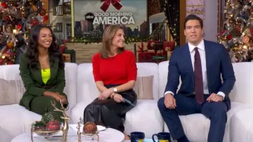 Frame Frankie Puff Short Sleeve Sweater worn by Mary Bruce as seen in Good Morning America on December 29, 2025