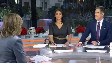 Gabriela Hearst Elster Suede Belt worn by Laura Jarrett as seen in Today on January 2, 2026