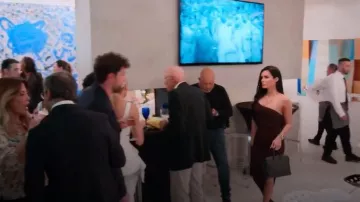 Hermès Pre-Owned Birkin 25 Leather Handbag worn by Maria Cozamanis as seen in Members Only: Palm Beach (S01E01)