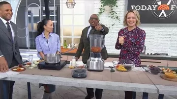 Rag & bone Maxine Button Down Shirt worn by Joanne Lee Molinaro as seen in Today on  January 6, 2026