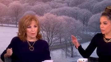 Eileen Fisher Chenille Blend Square Armhole Sweater worn by Joy Behar as seen in The View on January 6, 2026