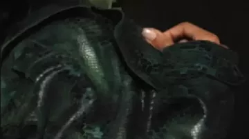 Trench-coat à motif de serpent porté par Anna Andrews (Tessa Thompson) dans HIS & HERS