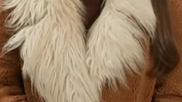 Abrigo marrón Sherpa que lleva (Emily Orozco) en Access Hollywood