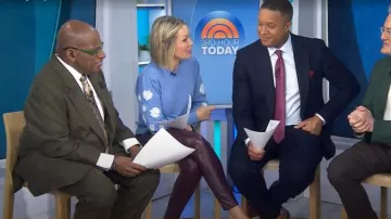 Talbots Embroidered Sleeve Sweater worn by Dylan Dreyer as seen in Today on January 15, 2026