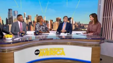 Ba&sh Pabi Blouse worn by Rebecca Jarvis as seen in Good Morning America on January 15, 2026