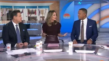 Frame Ruched Puff Sleeve Sweater worn by Savannah Guthrie as seen in Today on January 26, 2026