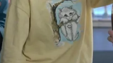 Sweatshirt worn by Taylor Swift in Opalite - Taylor Swift TikTok Dance Challenge.