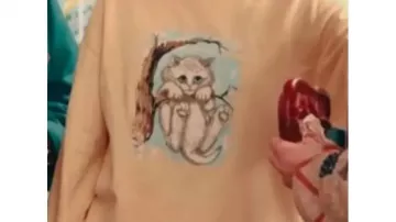 Cat Print Crewneck Sweatshirt worn by Taylor Swift in Taylor Swift - Opalite (Official Music Video)