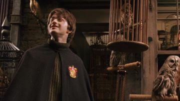 The cloak Gryffindor Harry Potter (Daniel Radcliffe) in Harry Potter and the chamber of secrets