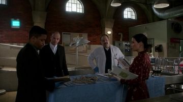 la jupe de Joan Watson (Lucy Liu) dans Elementary