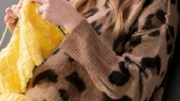 Pull à imprimé léopard porté par (Sara Paxton) dans Grey's Anatomy