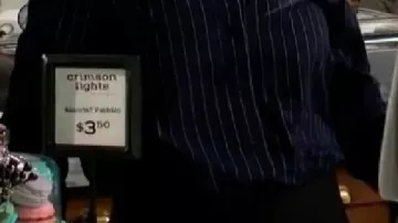 Pinstripe Shirt worn by (Sharon Newman) in The Young and the Restless