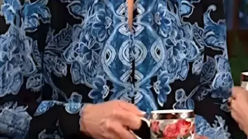 Printed Blouse worn by (Nikki Newman) in The Young and the Restless
