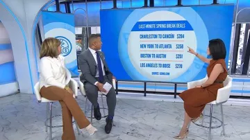 Zapatillas Sneex The Icon Sneaker Heel llevadas por Hoda Kotb tal y como se ve en Today the March 19 de 2026
