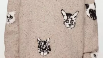 Cat Print Sweater worn by (Josh Crane) in BEEF