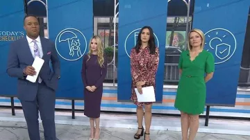 Eliza J Scallop Sheath Dress worn by Dylan Dreyer as seen in Today on  May 6, 2026
