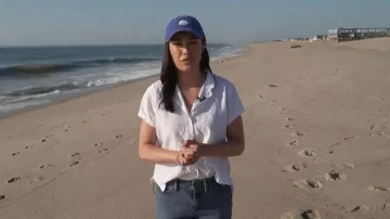 Lauren Ralph Lauren Linen Point Collar Short Dolman Sleeve Shirt worn by Emilie Ikeda as seen in Today on  May 20, 2026