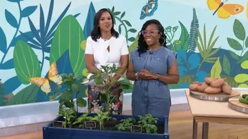 Banana Republic Denim Utility Jumpsuit worn by Dominique Charles as seen in Today on May 25, 2026