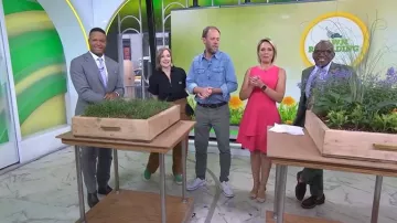 Vince Camuto Ruffle Fit & Flare Dress worn by Dylan Dreyer as seen in Today on June 10, 2026