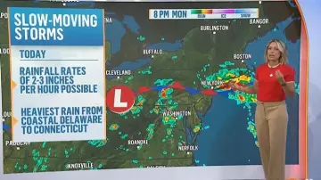 Talbots Wide Leg Ponte Pants in Toasted Coconut worn by Dylan Dreyer as seen in Today on  July 6, 2026