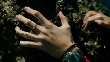 The ring of Nancy Adams (Blake Lively) in The Shallows (Instinct of survival)