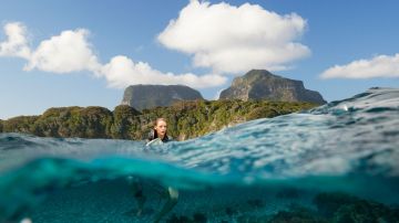 The island in survival Instinct (The Shallows)