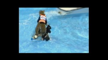 The video of the squirrel who water-ski in Jem and the Holograms