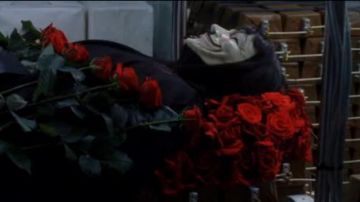 The pink Scarlet Carson in V for Vendetta