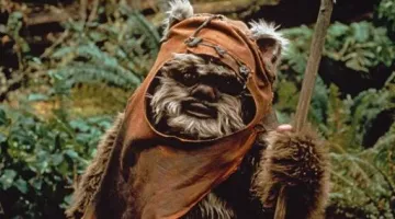 The Tunic Is Of An Ewok In Star Wars Vi Return Of The Jedi Spotern