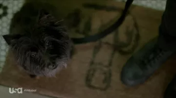 The doormat "Finger" of Shayla (Frankie Shaw) in Mr. Robot S01E02