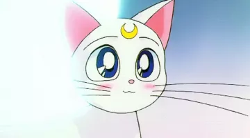 La réplica del gato en Artemisa en Sailor Moon de peluche