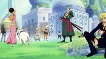La tenue verte complète de Zoro dans One Piece