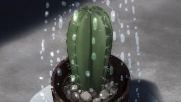 Le cactus de Saitama dans One Punch Man