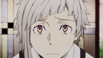 The costume / cosplay of Atsushi Nakajima in Bungou Stray Dogs