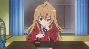 The costume / cosplay of Taiga in Toradora!