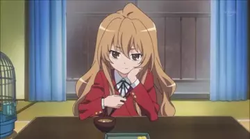 Le costume / le cosplay de Taiga dans Toradora!